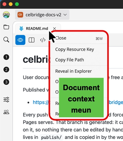 Screenshot showing Document tab context menu choices