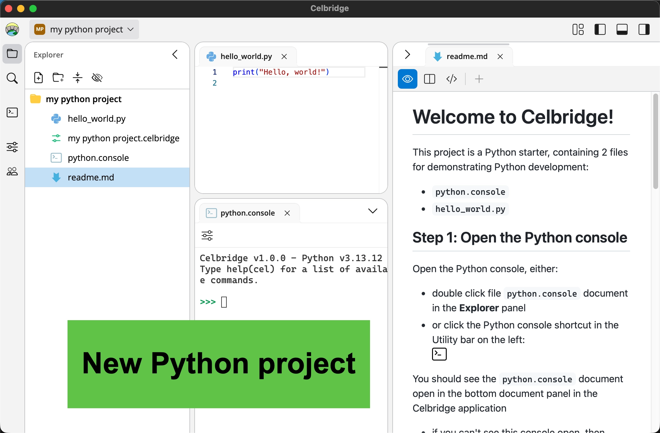 Screenshot showing Celbridge project containing examples